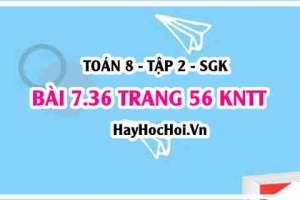 Bài 7.36 trang 56 Toán 8 Tập 2 Kết nối tri thức